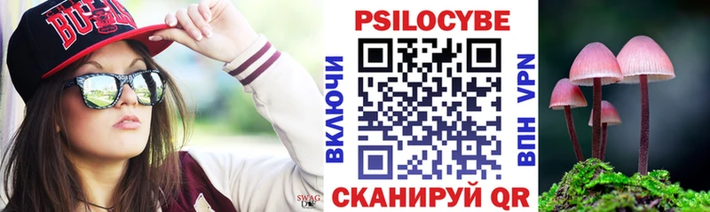 гидра зеркало  Новоалтайск  Псилоцибиновые грибы Cubensis 